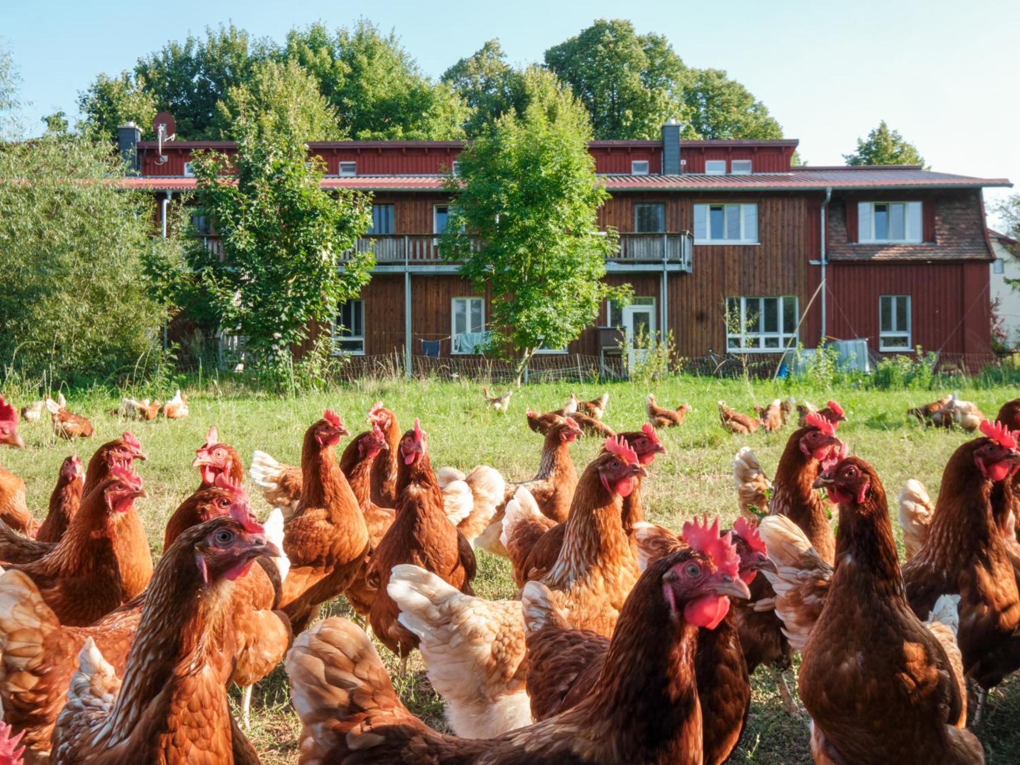 Biohof Medewege Villa Schwerin  Dış mekan fotoğraf